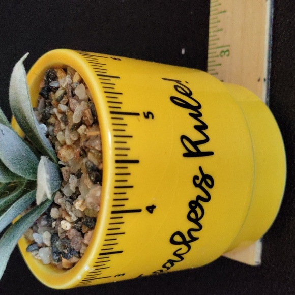 Planter for teacher with faux succulent - Picture 9 of 11